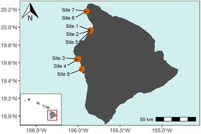 A Unique 100 Meter Underwater Survey Method Documents Changes in Abundance, Richness, and Community Structure of Hawaiʹi Reef Fishes